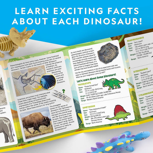 Dino Skeletons Modeling Clay